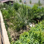 Satılır 3 otaqlı Həyət evi/villa, Ramana qəs., Sabunçu rayonu 28