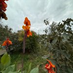 Satılır 4 otaqlı Həyət evi/villa, Məhəmmədli, Abşeron rayonu 3