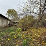 Satılır Torpaq Qəbələ 4