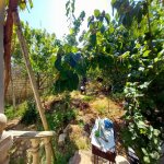 Kirayə (aylıq) 3 otaqlı Həyət evi/villa Xırdalan 4