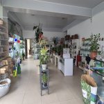 Satılır 6 otaqlı Həyət evi/villa Oğuz 10