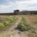 Satılır Torpaq, Bilgəh qəs., Sabunçu rayonu 10