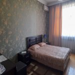 Kirayə (aylıq) 3 otaqlı Yeni Tikili, Gənclik metrosu, Nərimanov rayonu 3