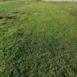 Satılır Torpaq Quba 1