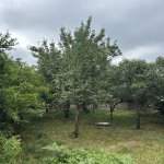 Satılır Torpaq Lənkəran 11