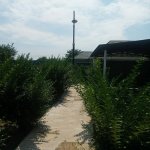 Продажа 6 комнат Дома/Виллы Гябяля 22