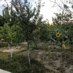 Kirayə (aylıq) 5 otaqlı Bağ evi, Buzovna, Xəzər rayonu 3