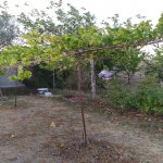 Satılır 2 otaqlı Həyət evi/villa Şirvan 26