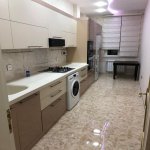 Kirayə (aylıq) 2 otaqlı Yeni Tikili, 28 May metrosu, Nəsimi rayonu 18