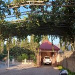 Satılır 5 otaqlı Həyət evi/villa, Buzovna, Xəzər rayonu 3