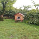 Kirayə (günlük) 3 otaqlı Həyət evi/villa Qəbələ 2