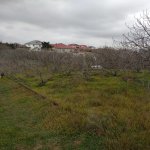 Satılır Torpaq Sumqayıt 4