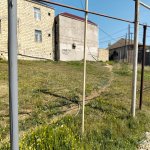 Satılır Torpaq, Masazır, Abşeron rayonu 2
