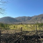 Продажа Участок Астара 3