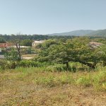 Satılır Torpaq Qəbələ 5