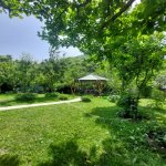 Kirayə (günlük) 2 otaqlı Həyət evi/villa Qəbələ 5