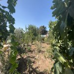Satılır 4 otaqlı Bağ evi, Buzovna, Xəzər rayonu 28