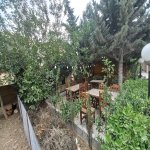 Аренда Объект, пос. Йени Гюняшли, Сураханы район 2