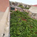 Satılır 5 otaqlı Həyət evi/villa, Koroğlu metrosu, Zabrat qəs., Sabunçu rayonu 13