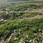 Satılır Torpaq, Novxanı, Abşeron rayonu 4