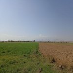 Satılır Torpaq Sabirabad 1