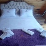 Kirayə (günlük) 3 otaqlı Həyət evi/villa Qəbələ 6