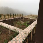 Kirayə (günlük) 3 otaqlı Həyət evi/villa İsmayıllı 12
