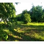 Satılır 3 otaqlı Həyət evi/villa Qax 14