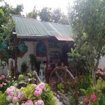 Kirayə (günlük) 1 otaqlı Həyət evi/villa Qax 13