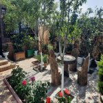 Kirayə (aylıq) 1 otaqlı Bağ evi, Bilgəh qəs., Sabunçu rayonu 15