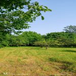 Satılır Torpaq Qəbələ 3