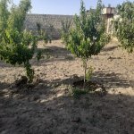 Satılır 2 otaqlı Bağ evi, Bilgəh qəs., Sabunçu rayonu 6