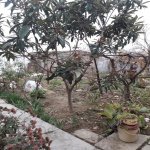 Satılır 6 otaqlı Həyət evi/villa, Suraxanı rayonu 24