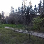 Satılır 9 otaqlı Həyət evi/villa, Yasamal rayonu 36