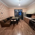Kirayə (aylıq) 1 otaqlı Yeni Tikili, 28 May metrosu, Nəsimi rayonu 4