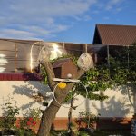 Kirayə (günlük) 5 otaqlı Həyət evi/villa Qəbələ 9