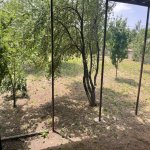 Kirayə (günlük) 3 otaqlı Həyət evi/villa İsmayıllı 17