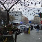 Kirayə (aylıq) Obyekt, 28 May metrosu, Nəsimi rayonu 11