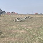 Satılır Torpaq Xırdalan 3