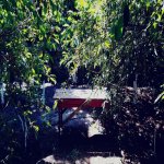 Kirayə (aylıq) 5 otaqlı Bağ evi, Novxanı, Abşeron rayonu 2