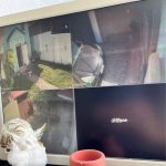 Satılır 3 otaqlı Həyət evi/villa, Binə qəs., Xəzər rayonu 20
