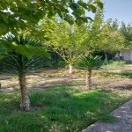 Satılır 2 otaqlı Bağ evi Sumqayıt 4