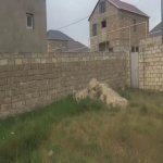 Satılır Torpaq, Binə qəs., Xəzər rayonu 2