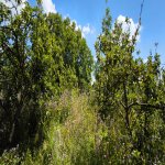 Продажа 4 комнатная Дача Шамаха 15