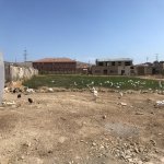 Satılır Obyekt, Qobu, Abşeron rayonu 23