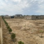 Продажа Участок, пос. Нардаран, Sea Breeze, Сабунчу район 15