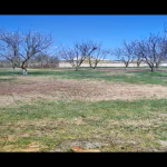 Satılır Torpaq Xaçmaz 1