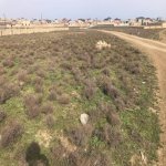 Продажа Участок, пос. Нардаран, Сабунчу район 4