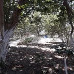 Satılır 5 otaqlı Bağ evi, Mərdəkan, Xəzər rayonu 4