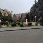 Kirayə (aylıq) 2 otaqlı Yeni Tikili, 8-ci mikrorayon, Binəqədi rayonu 14